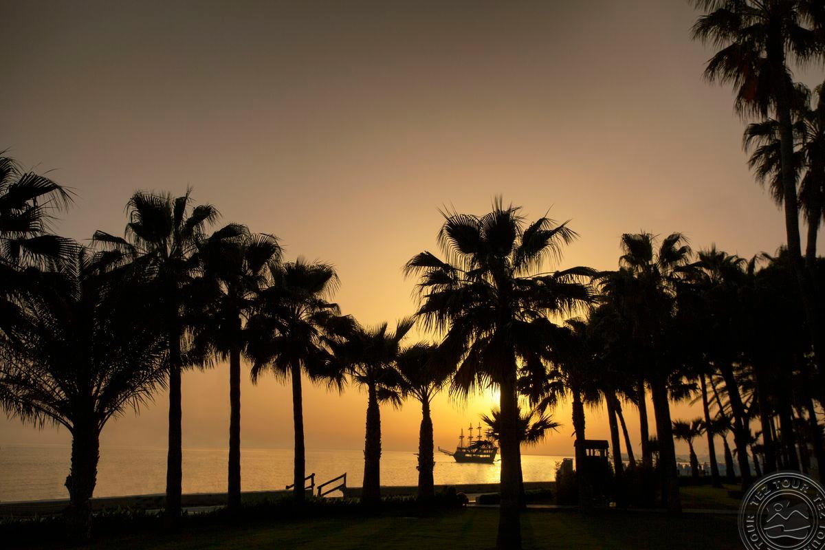 ACANTHUS CENNET BARUT COLLECTION