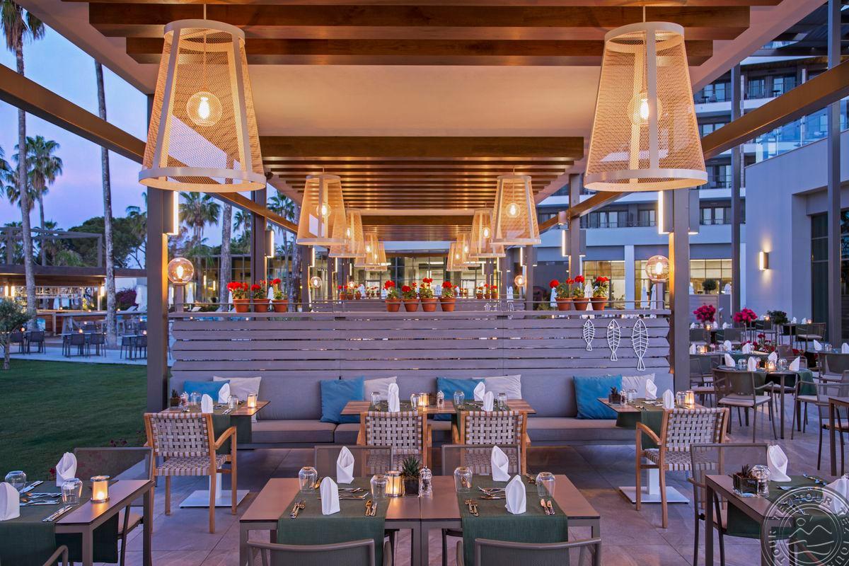 ACANTHUS CENNET BARUT COLLECTION