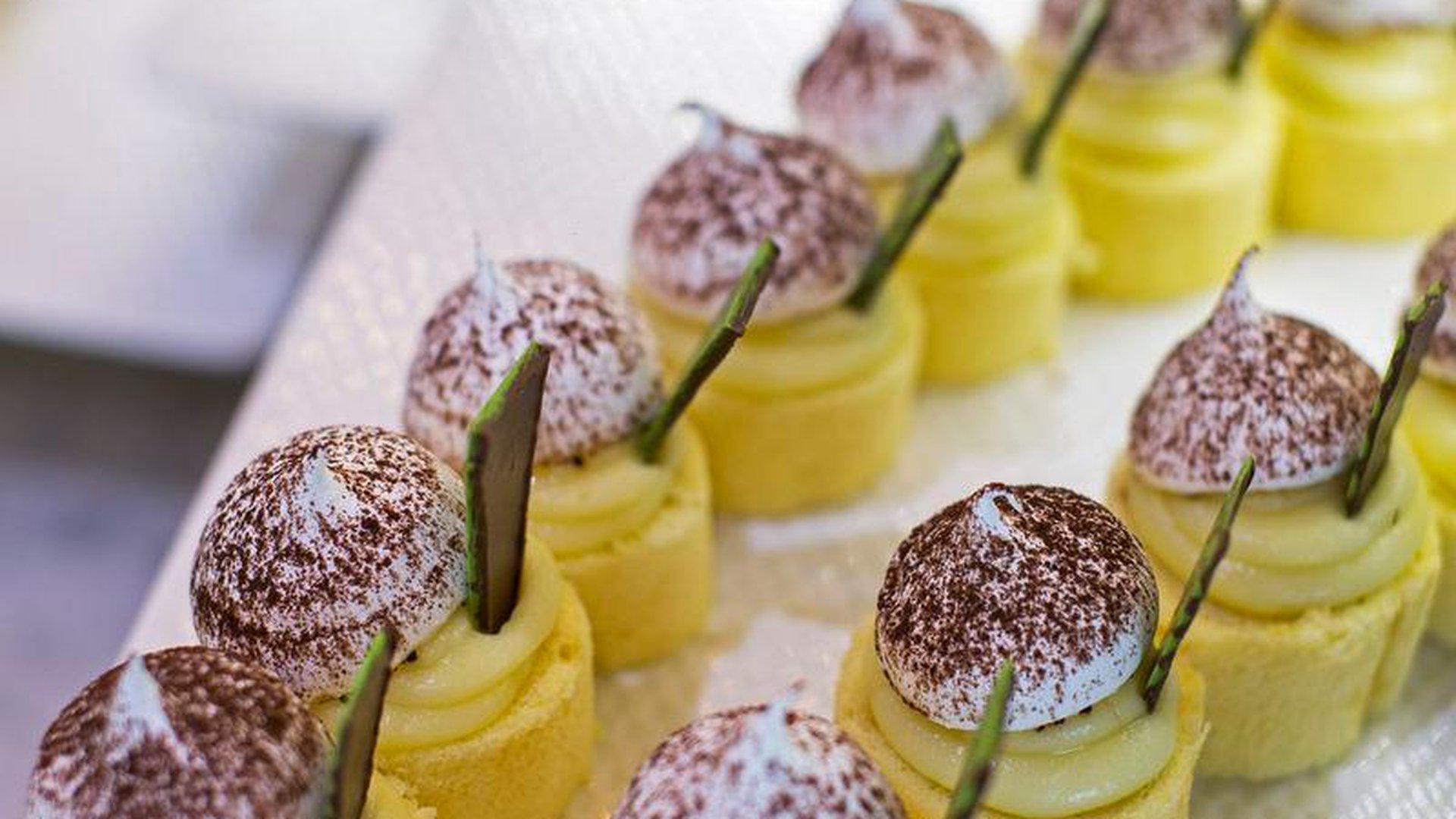 ACANTHUS CENNET BARUT COLLECTION