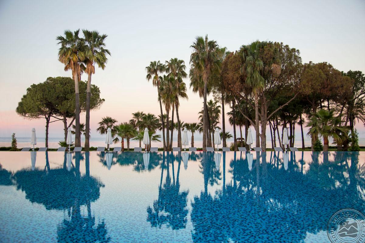 ACANTHUS CENNET BARUT COLLECTION