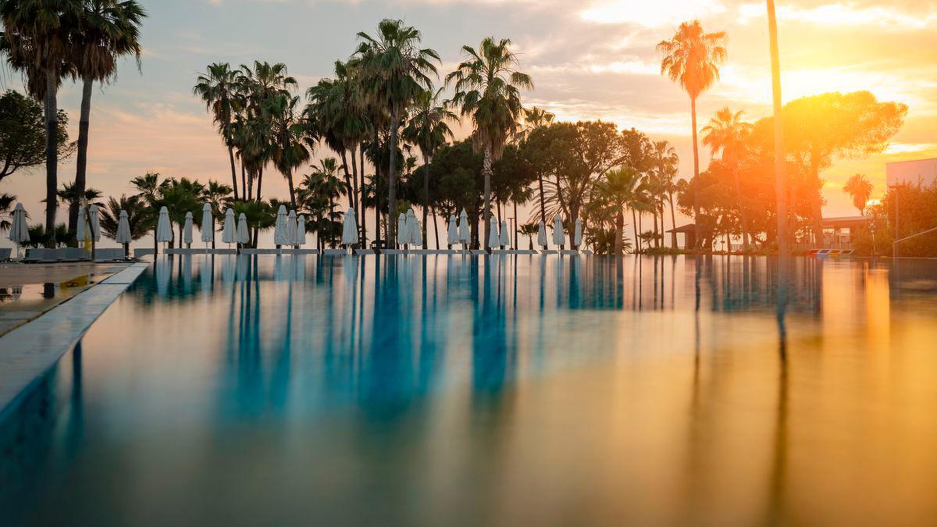 ACANTHUS CENNET BARUT COLLECTION