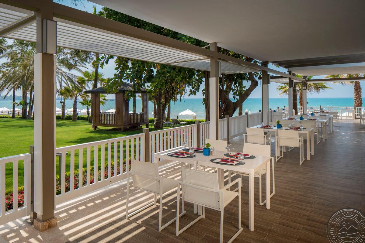 ACANTHUS CENNET BARUT COLLECTION