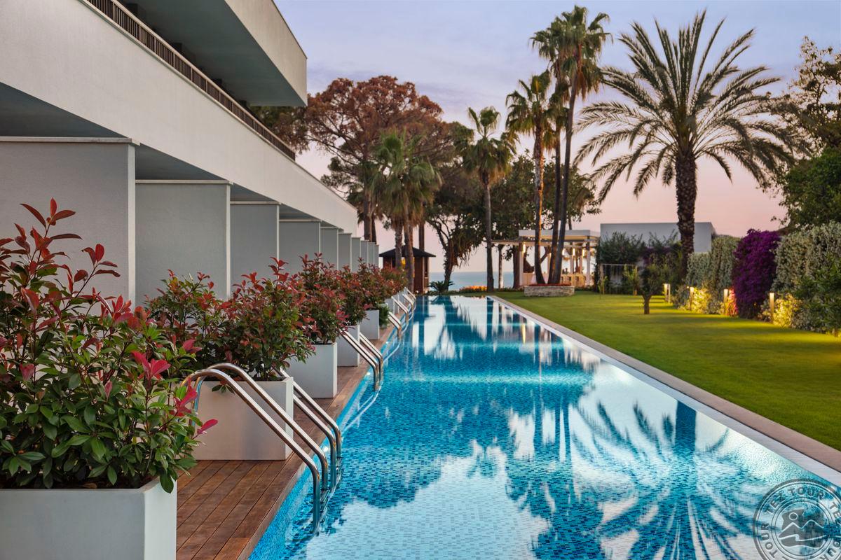 ACANTHUS CENNET BARUT COLLECTION