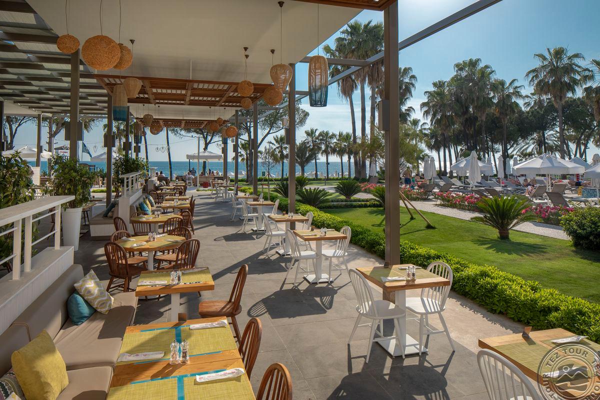 ACANTHUS CENNET BARUT COLLECTION