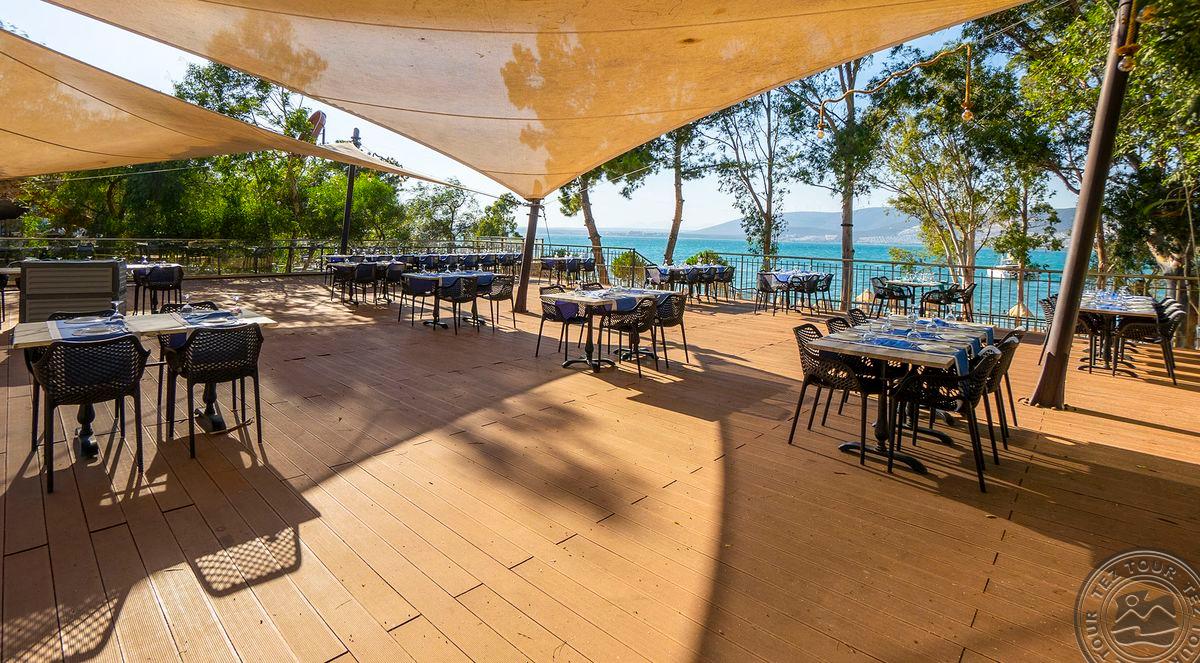 LONG BEACH CLUB NATURE