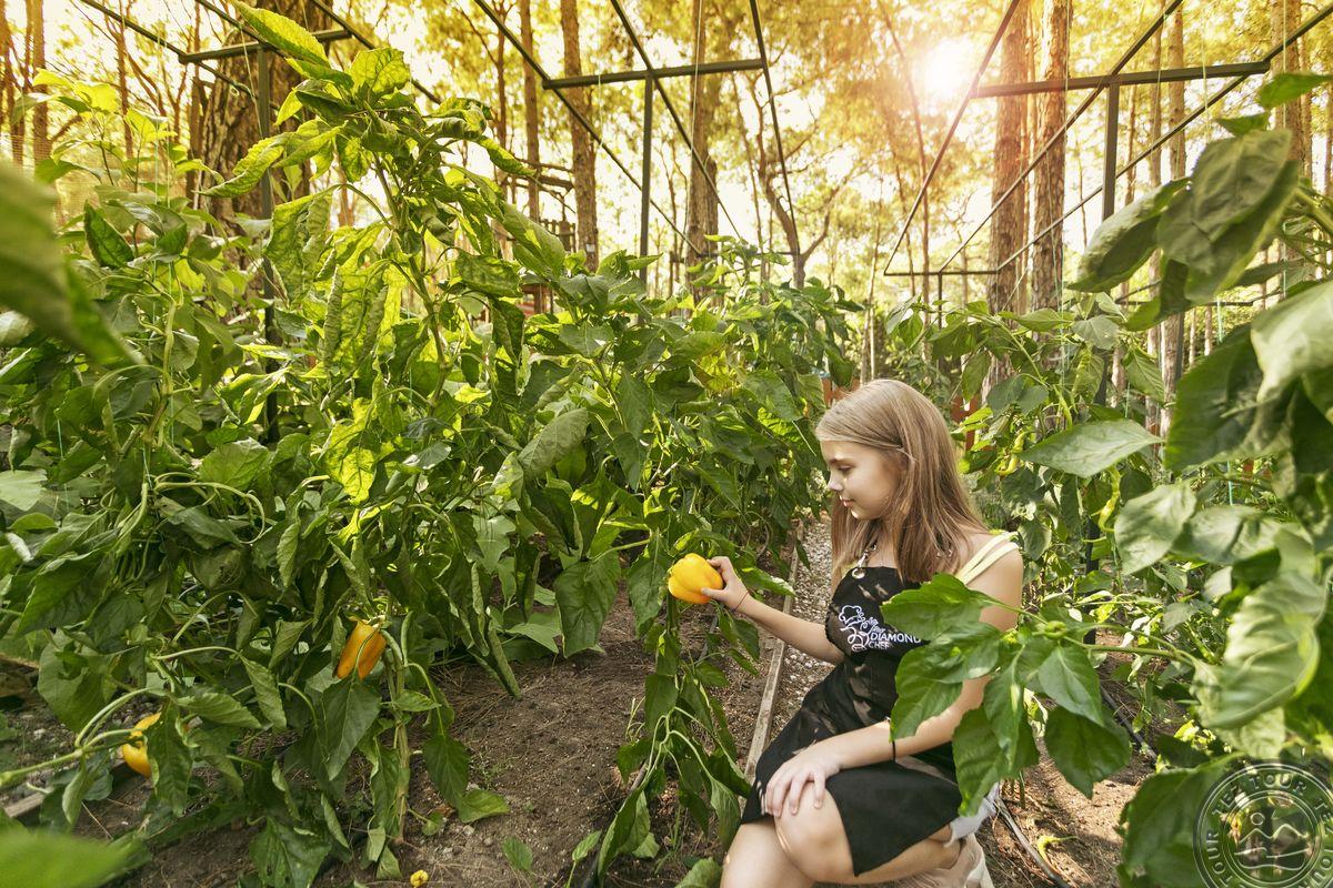 RIXOS SUNGATE - THE LAND OF LEGENDS FREE ACCESS