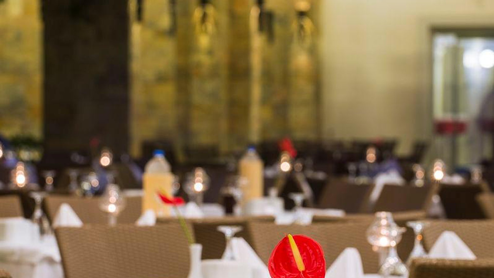 XANADU ISLAND BODRUM