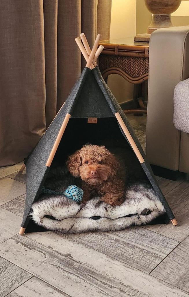 GREEN GARDEN ECO RESORT & VILLAS