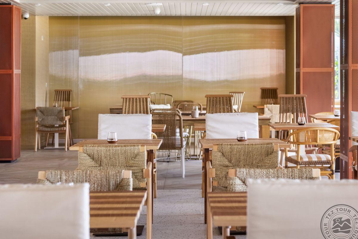 NEXT SAVOY SIGNATURE