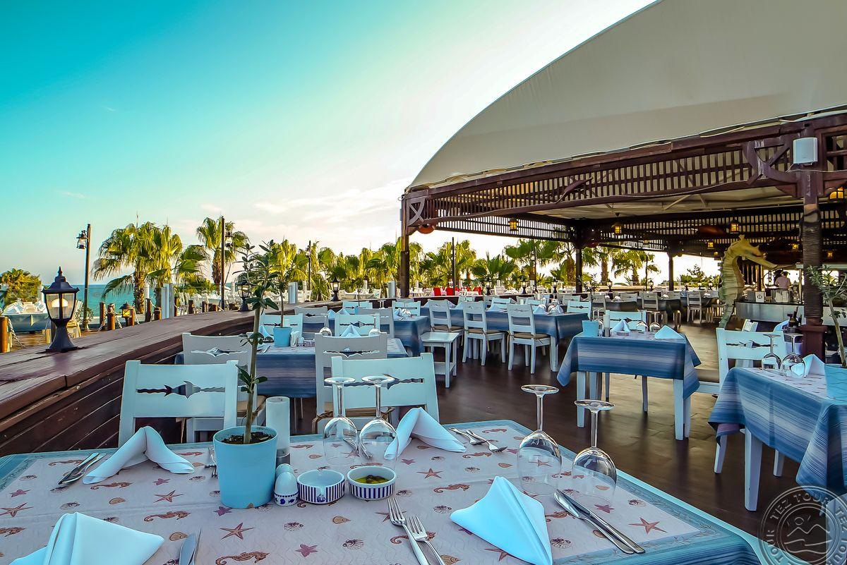 SENTIDO KAMELYA FULYA