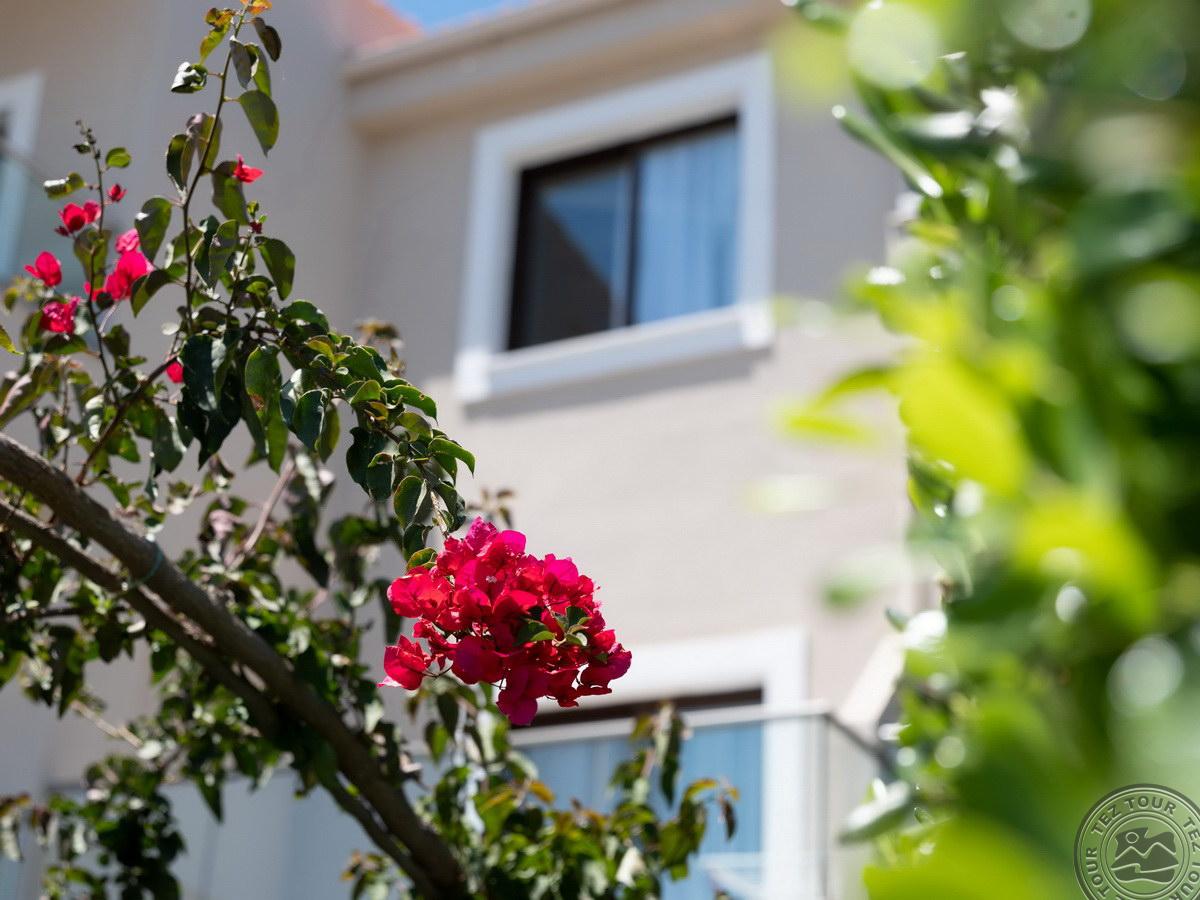 EVA MARE HOTEL & SUITES