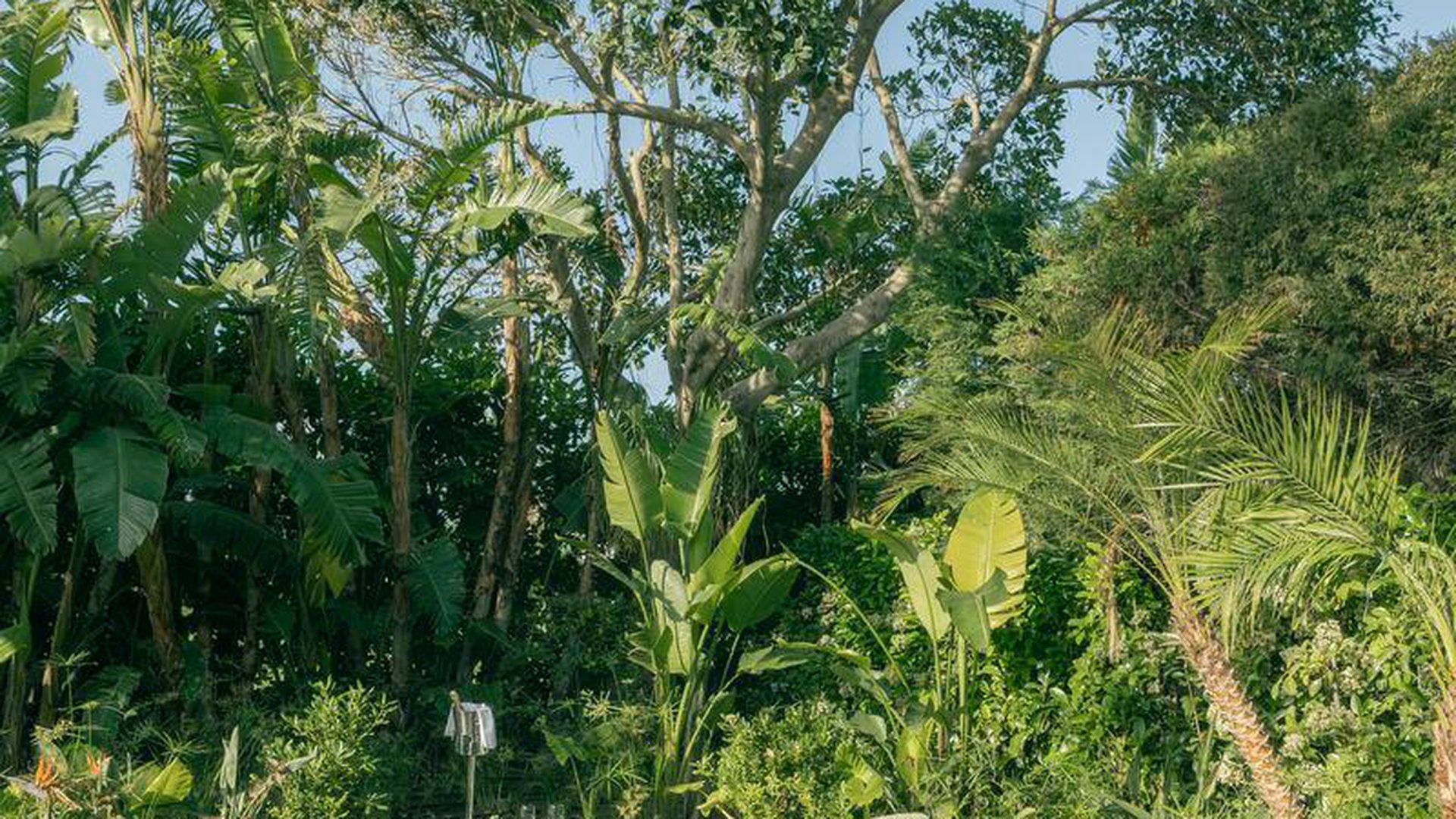 ELA EXCELLENCE RESORT BELEK