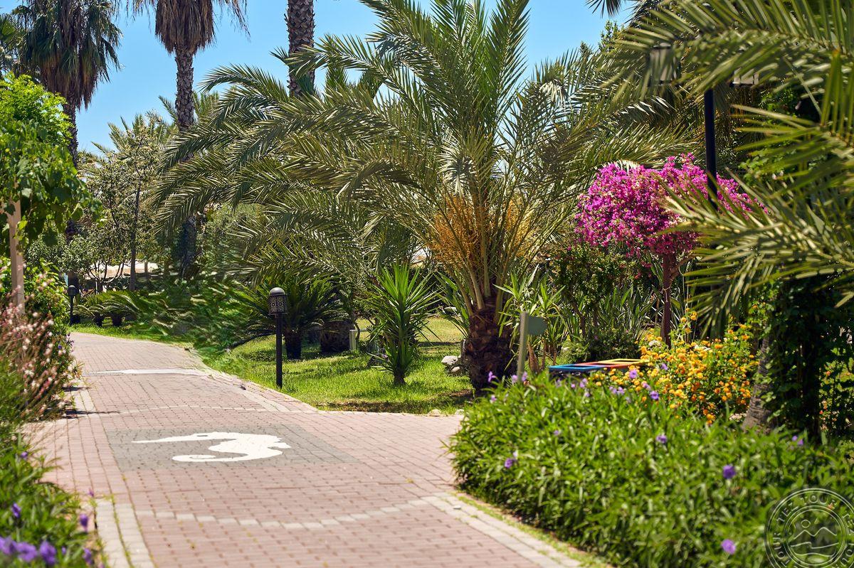 SEADEN SEA WORLD RESORT & SPA