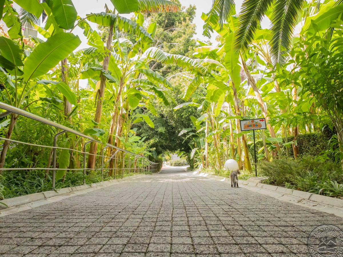 SEALIFE BUKET BEACH HOTEL