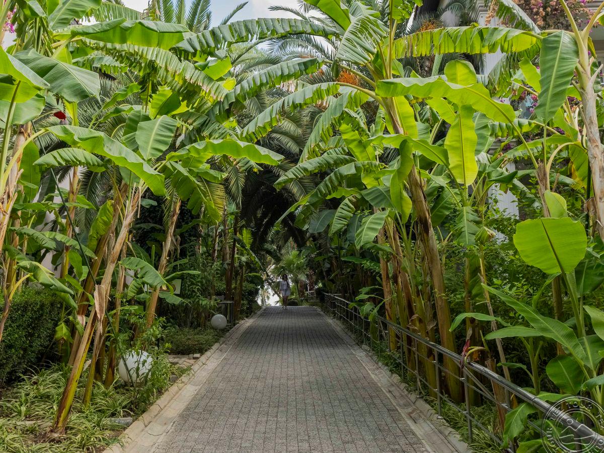 SEALIFE BUKET BEACH HOTEL