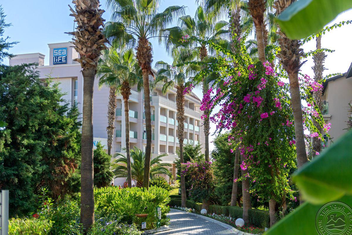 SEALIFE BUKET BEACH HOTEL