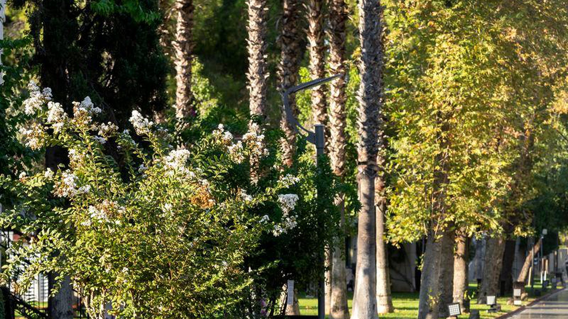 SHERWOOD EXCLUSIVE KEMER