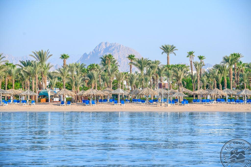 JAZ SHARM DREAMS RESORT
