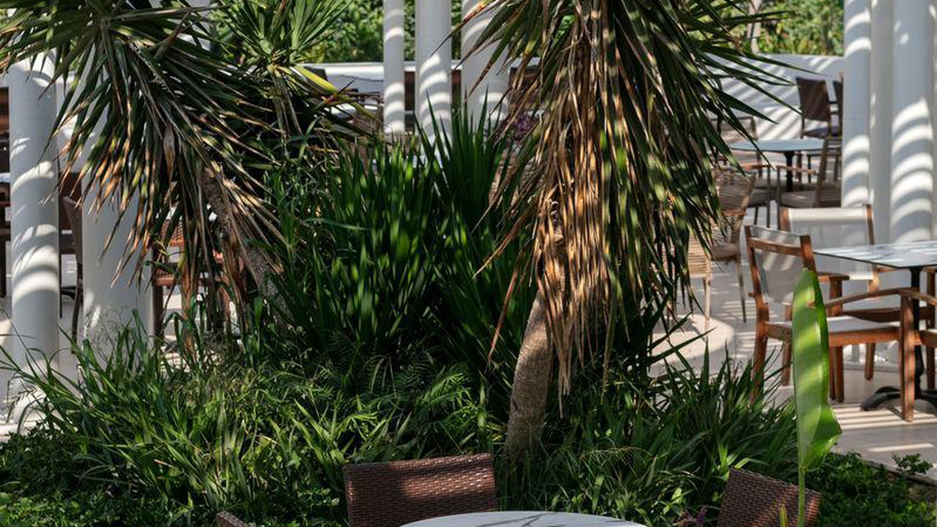 SHERWOOD DREAMS RESORT