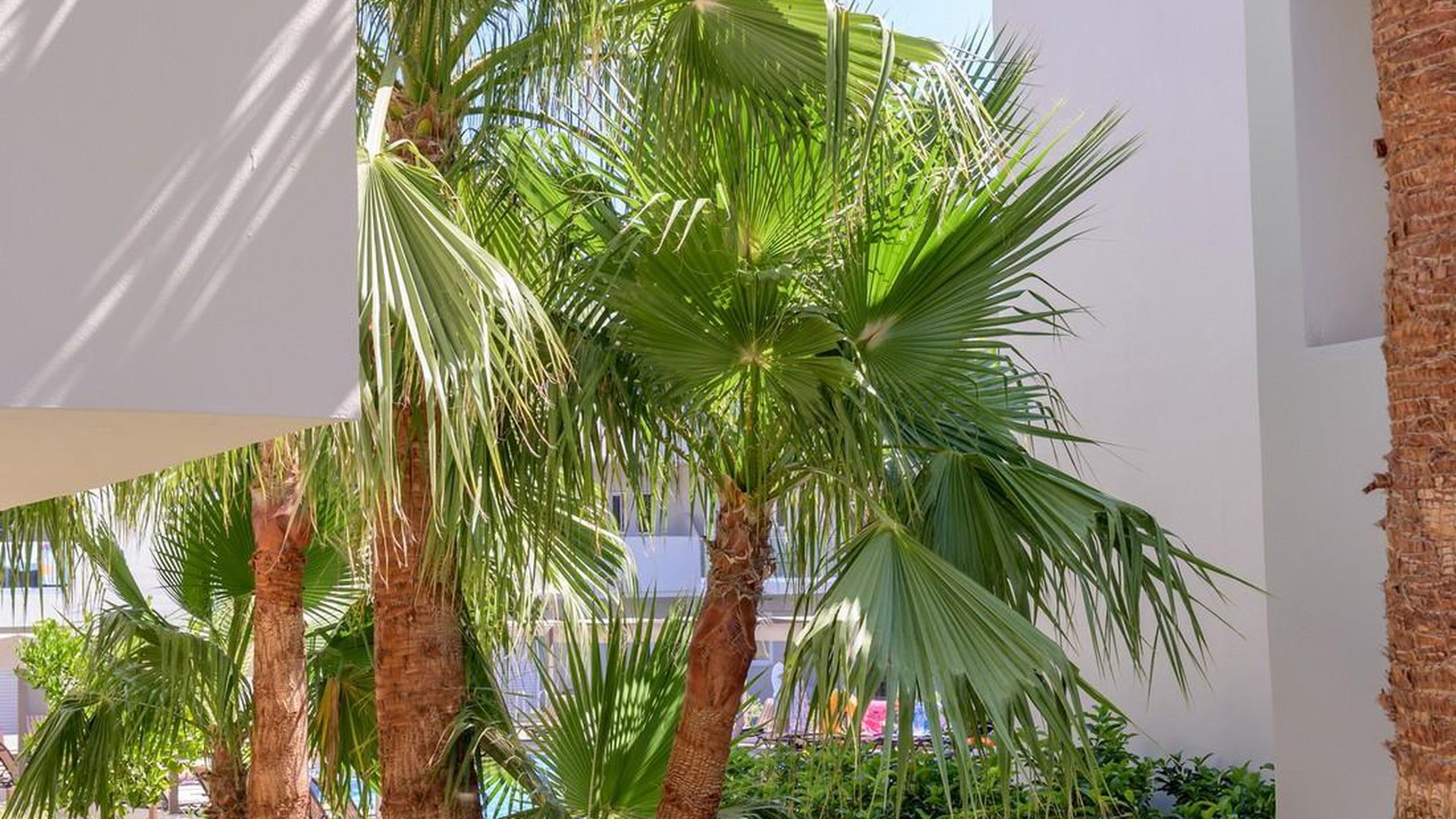 ZEUS HOTELS YDORIA RESORT