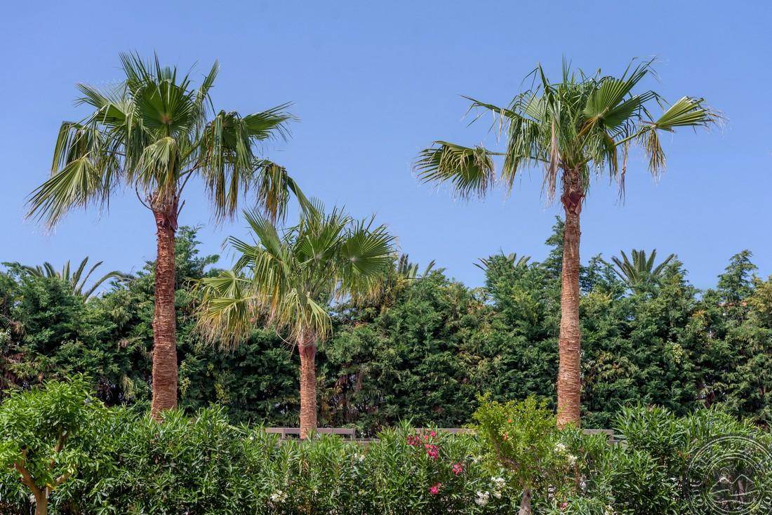 ZEUS HOTELS YDORIA RESORT