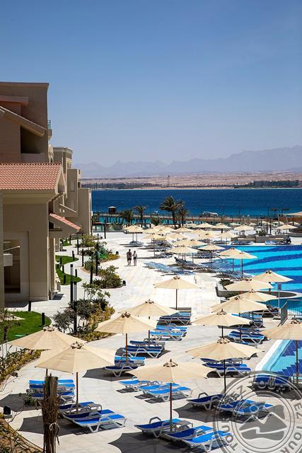 SRNTY SAHL HASHEESH (EX. SERENITY SKY ARC SAHL HASHEESH)