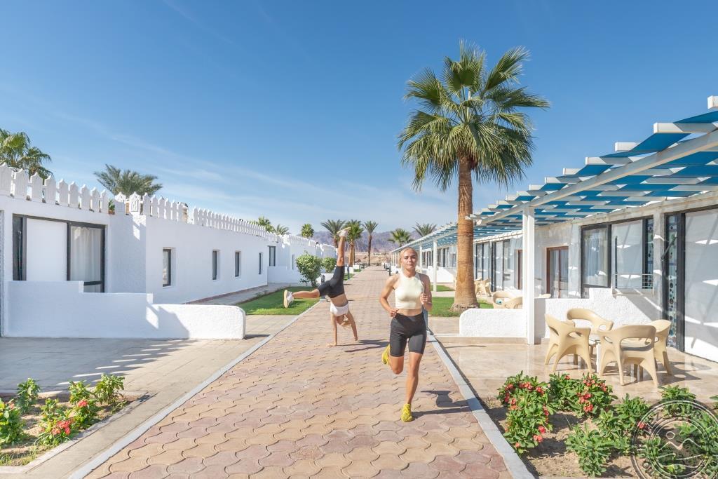 PICKALBATROS SHARM RESORT EX. BEACH ALBATROS SSH