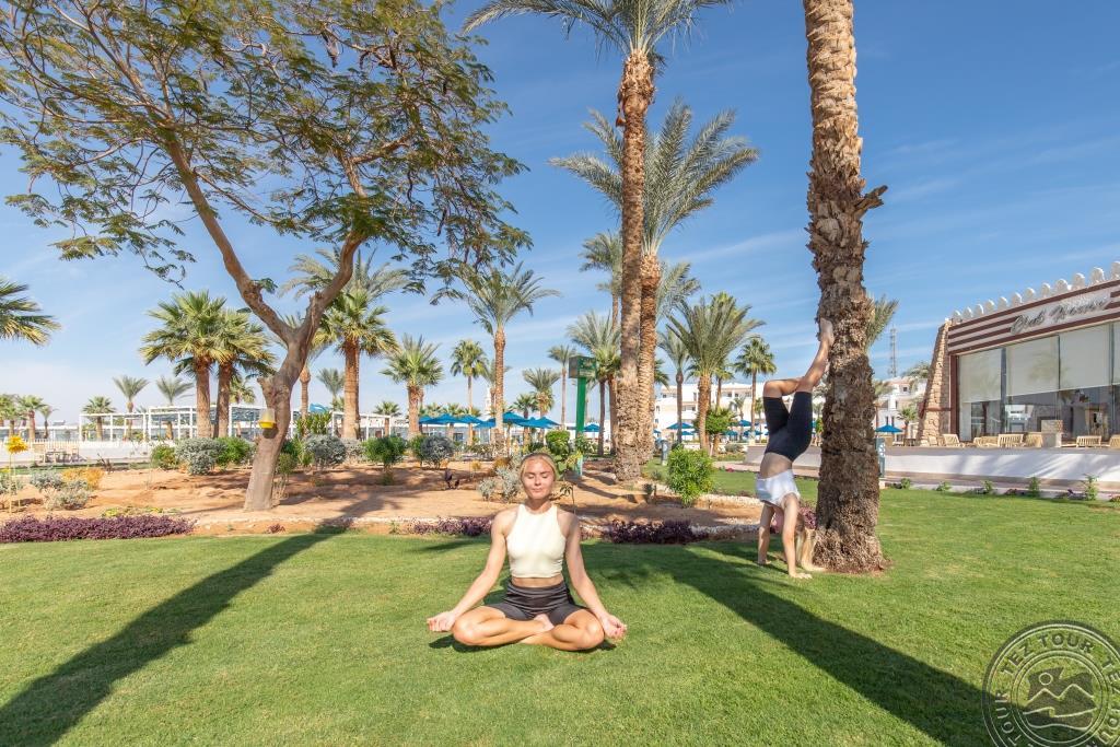 PICKALBATROS SHARM RESORT EX. BEACH ALBATROS SSH
