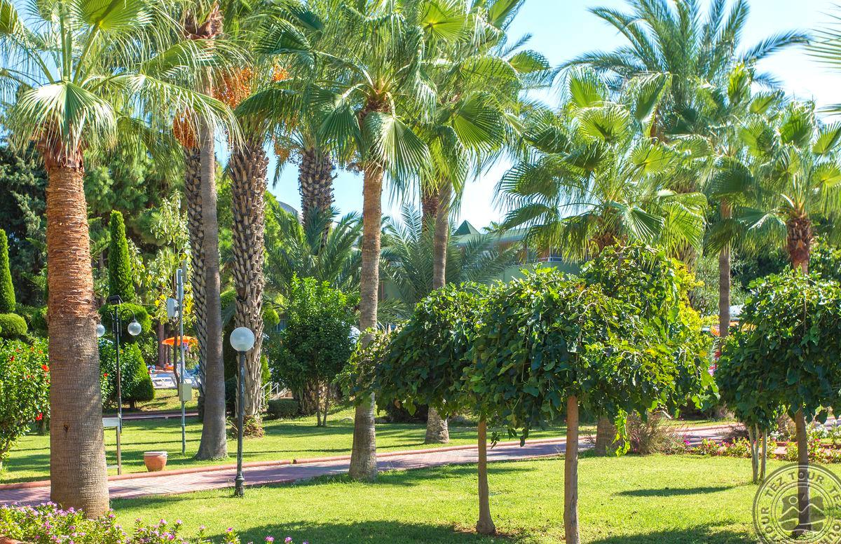 LONICERA RESORT & SPA